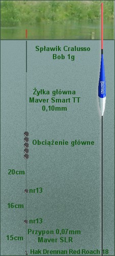 Diagram zestawu Rafała Matuszaka