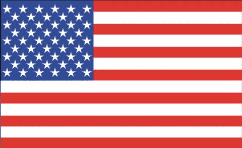 flag of USA