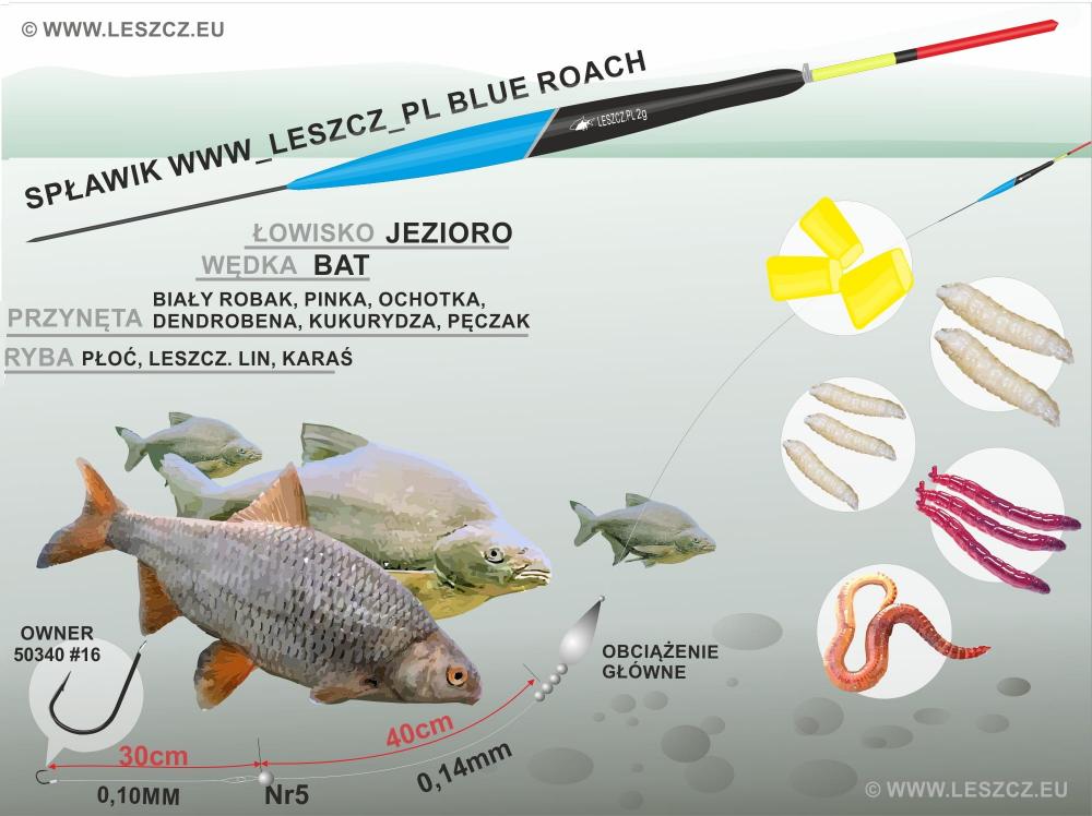 WWW.LESZCZ.PL WWW.LESZCZ.PL zestaw Blue Roach