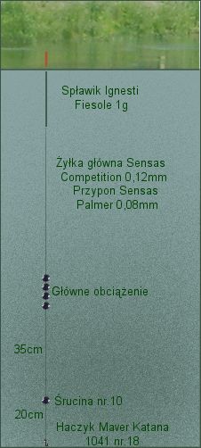 zestaw spławikowy