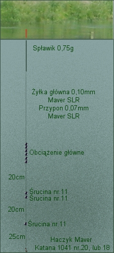 zestaw spławikowy - j.Dolina Górnika, Chorzów