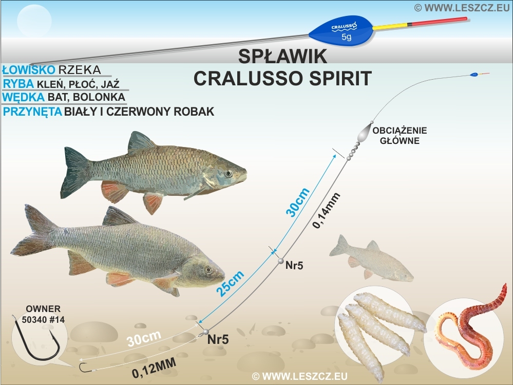 zestaw spławikowy - 