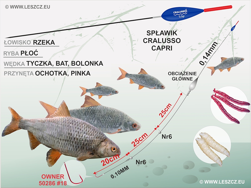 zestaw spławikowy - 