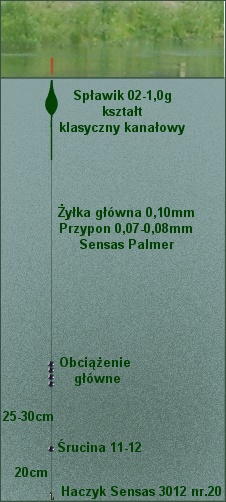 zestaw spławikowy - 
