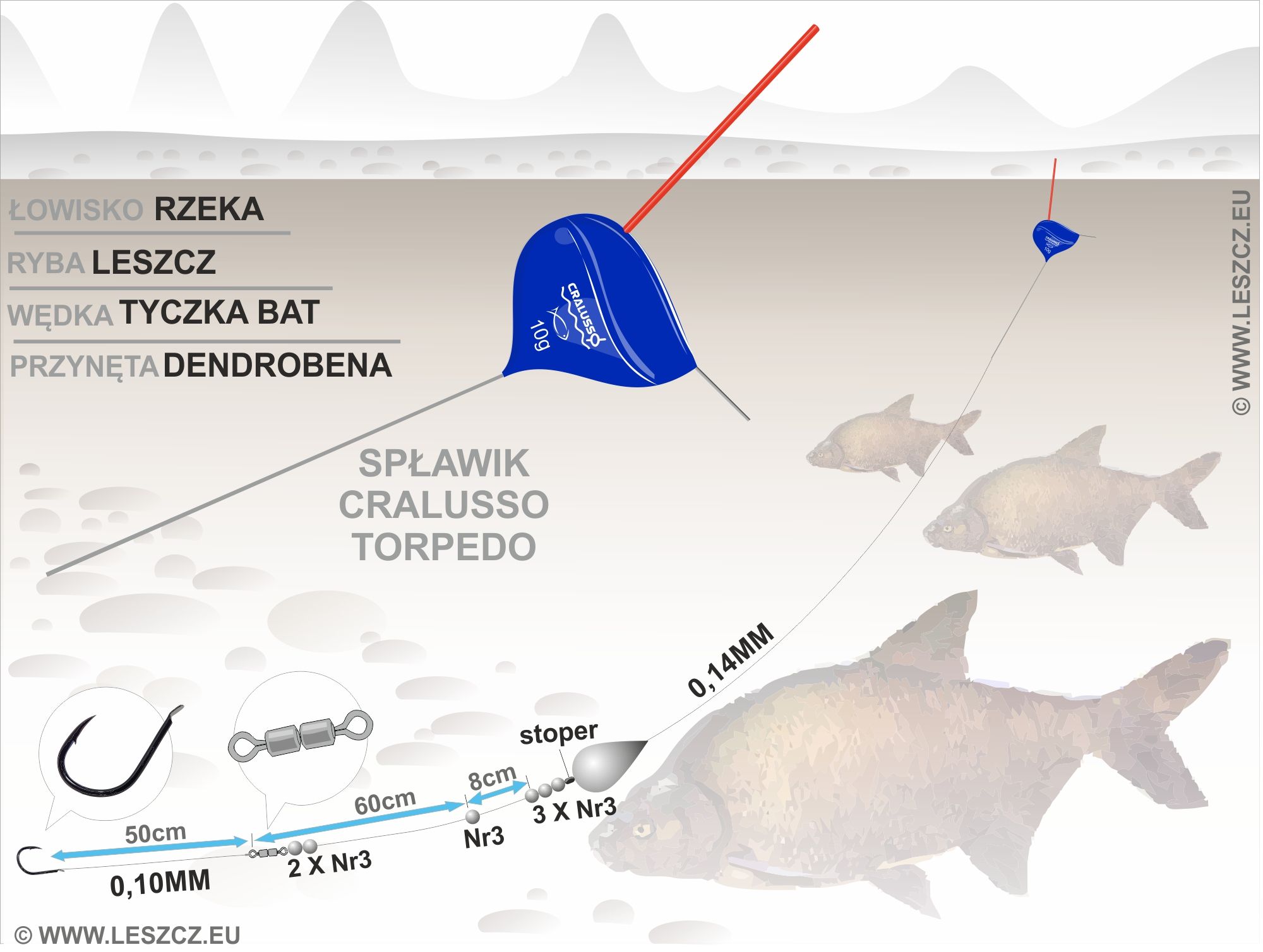 zestaw spławikowy - 