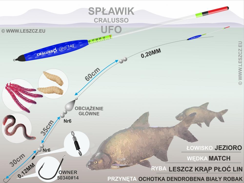 zestaw spławikowy - 