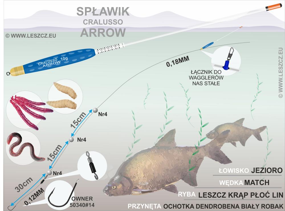 zestaw spławikowy - 