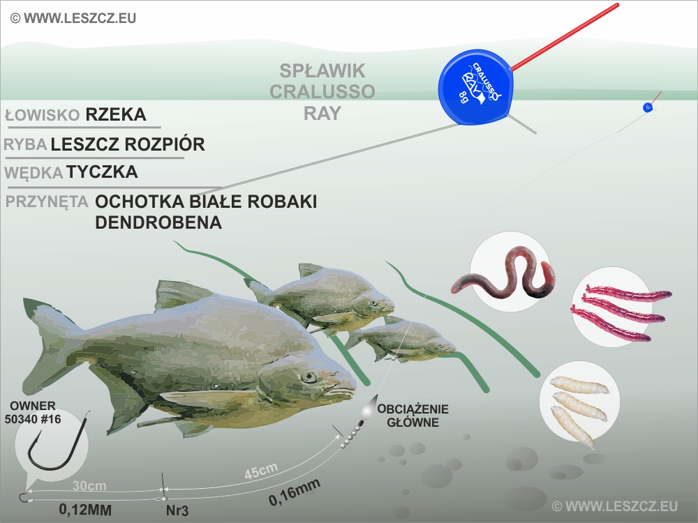 zestaw spławikowy - 