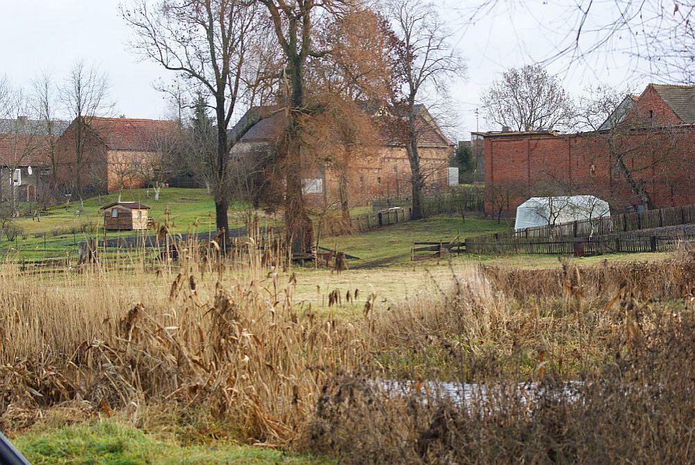 rz.Obra, Strzyżewo