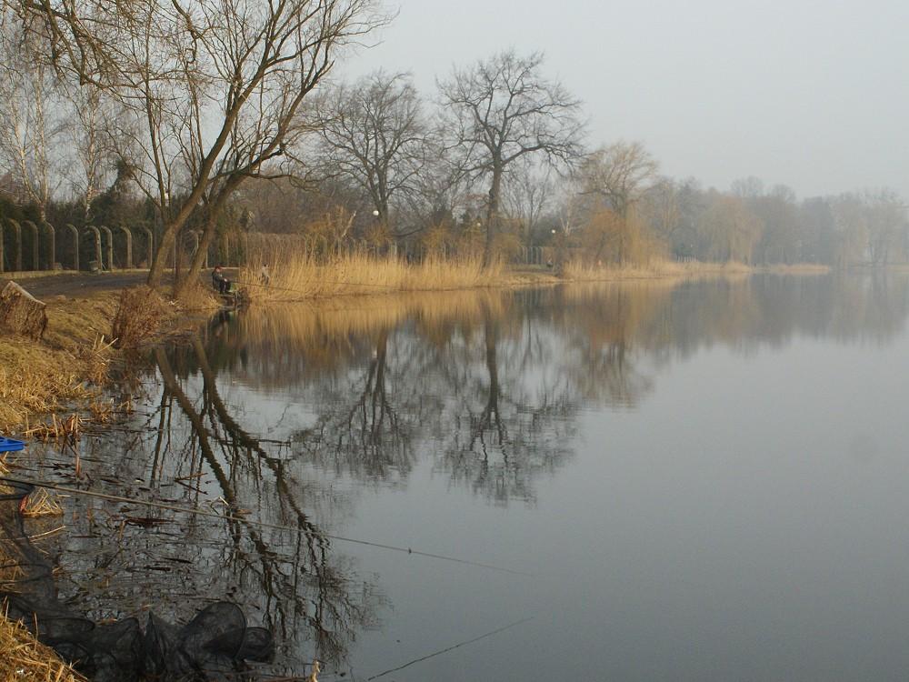 jezioro Rogozińskie, widok na jezioro.