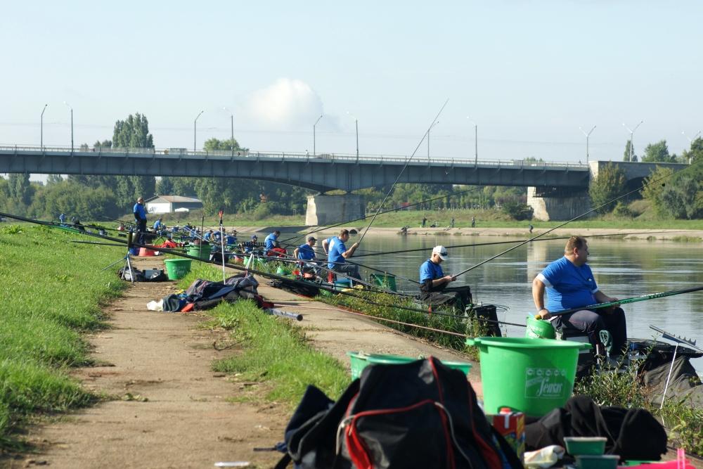 Urodziny Tomka - widok na zawody