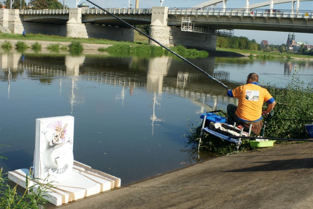 Urodziny Tomka - Borewicz w akcji