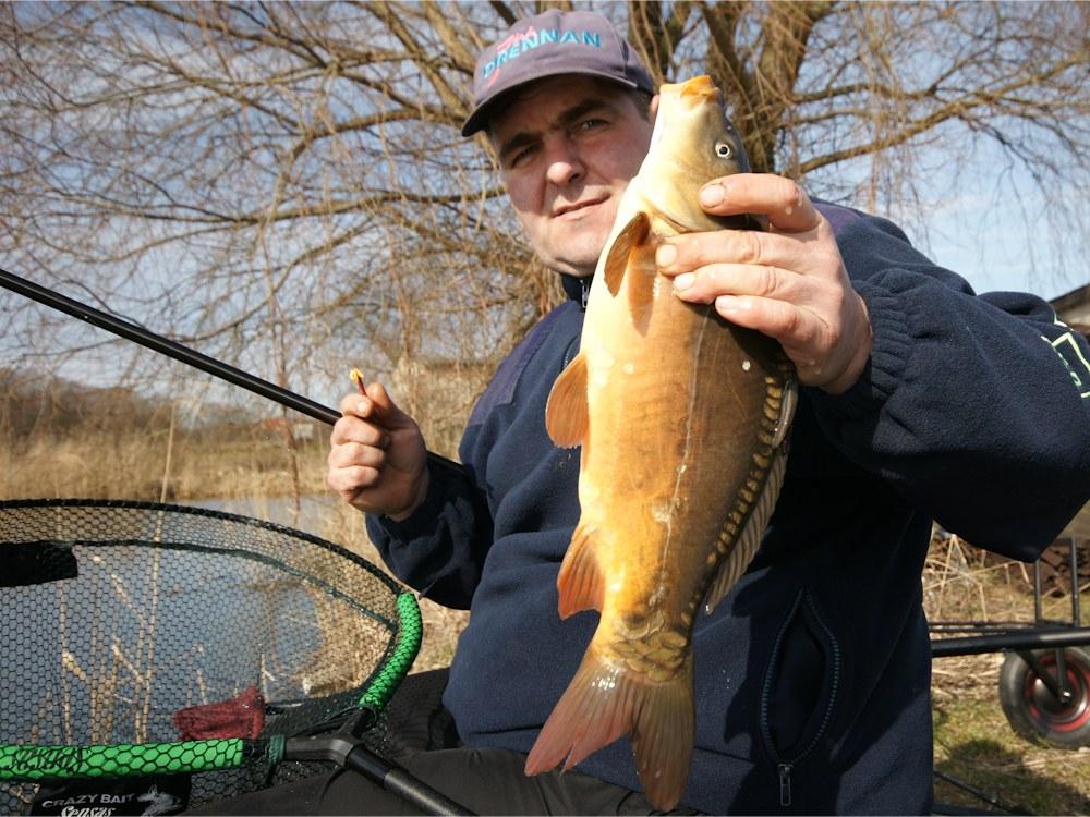 www.leszcz.pl - Karpie łowione na tyczkę Sensas 65XL Carp