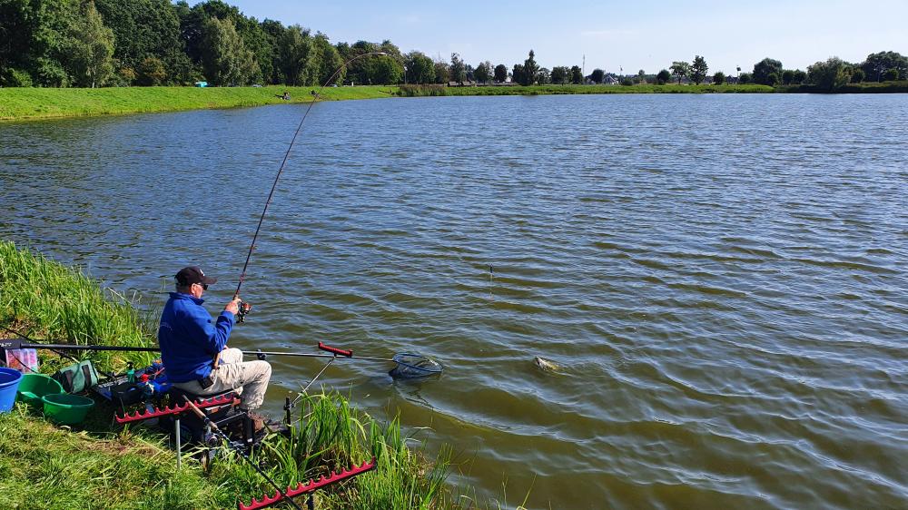 www.leszcz.pl - Grube karasie z Balatonu w Miejskiej Górce