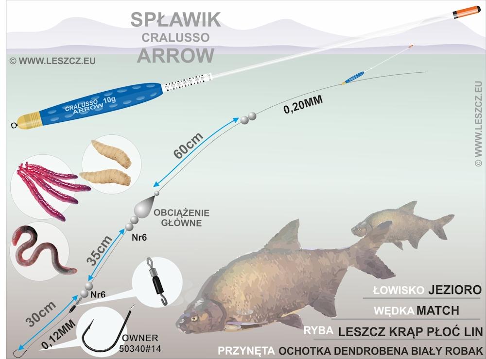 Cralusso ARROW - zestaw spławikowy