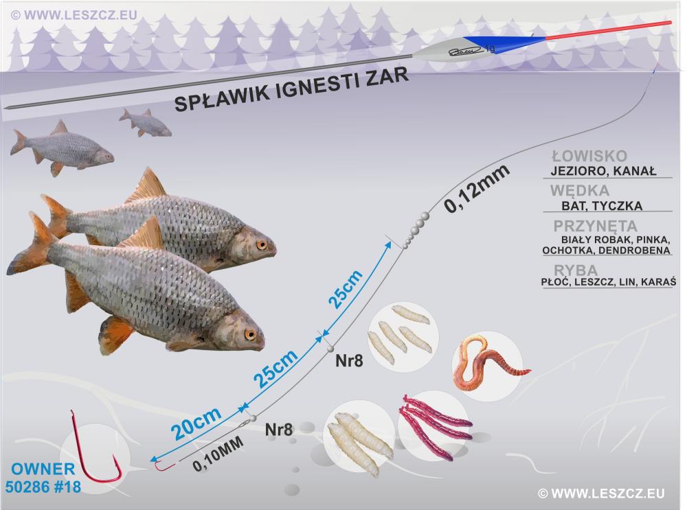 Zestaw spłąwikowy Ignesti ZAR