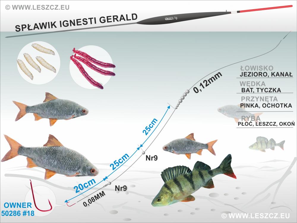 Zestaw spławikowy Ignesti GERALD