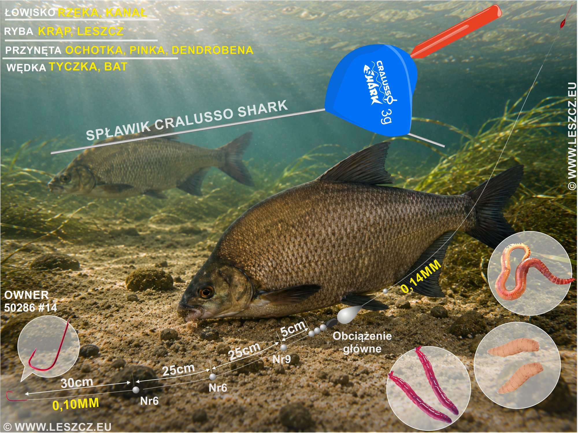 Zestaw Cralusso Shark - leszcz i krąp na wolnej rzece