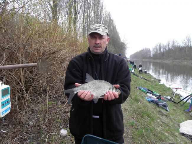 S.Dawidziuk