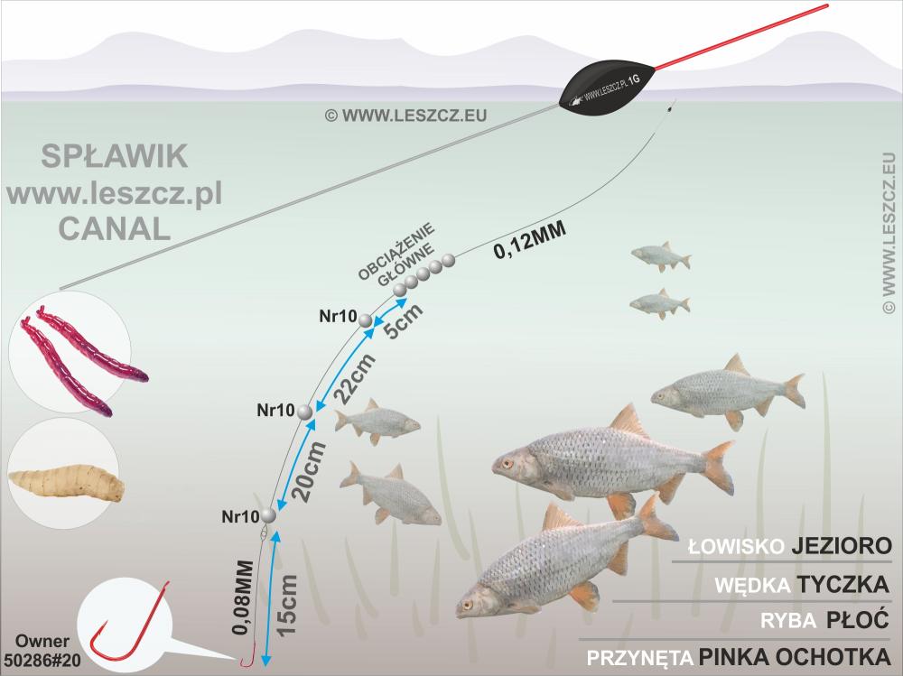 ZESTAW WWW.LESZCZ.PL CANAL PŁOĆ KRĄP