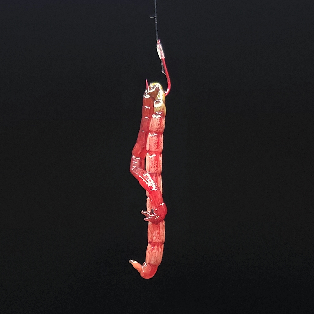Dwie ochotki  (feeder, match)